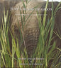 Just a Blade of Grass - Coffee table book of Kruger